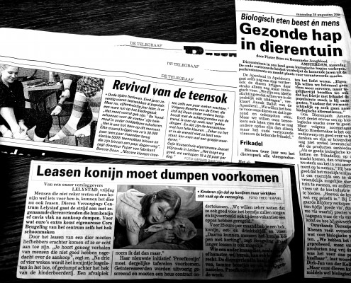 De Telegraaf: Illustratie verhaal prins Friso