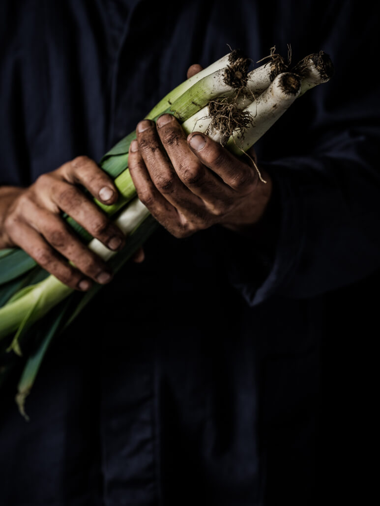 Tuinderij Luijkx - Boer&NLekker, maximale publiciteit Tuinderij Luijkx - Boer&NLekker, maximale publiciteit